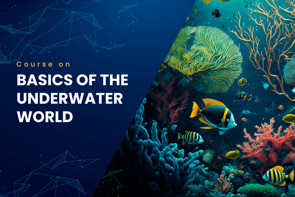 Basics of the Underwater World cover image